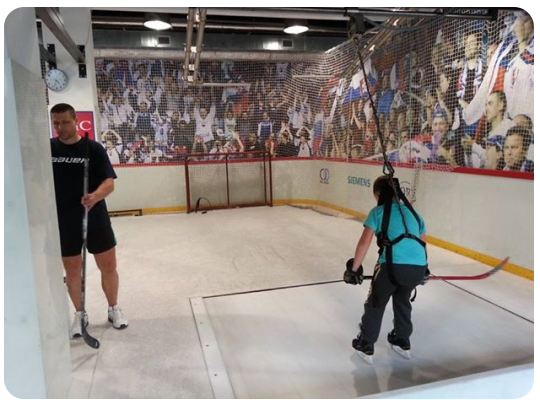 benicky hockey center